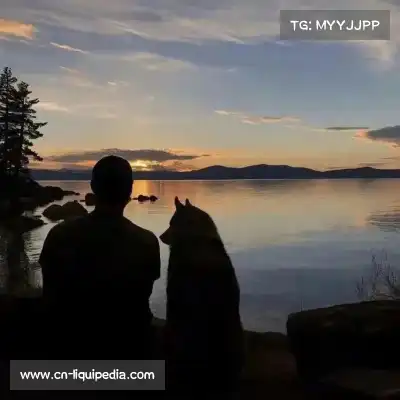 熊晨昕